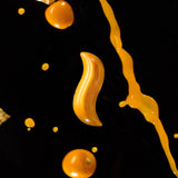 AKITA HASHIOKI(8粒入)