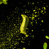 AKITA HASHIOKI(8粒入)